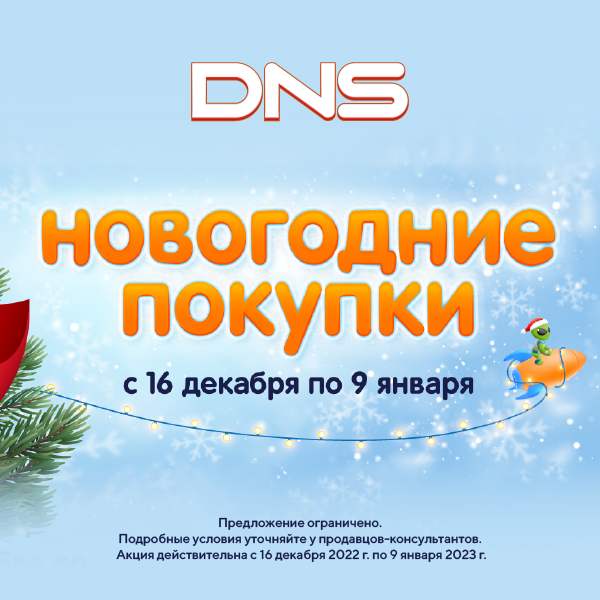 График работы днс в новогодние праздники